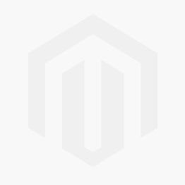 REMS Akku-Press E 22 V ACC Gold 2026 online im Shop günstig kaufen