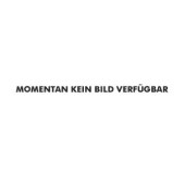 REMS Stahlblechkasten MSG 25